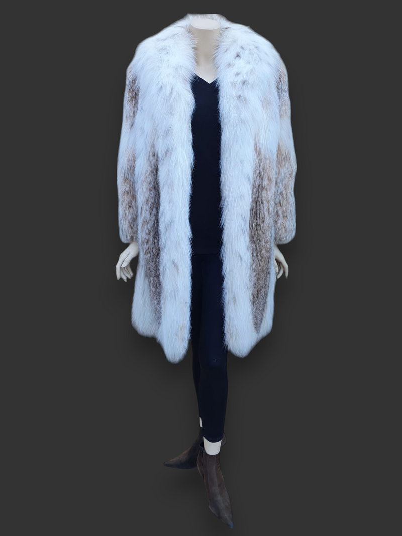 12385-C700-1_800x.png?v=1726187950