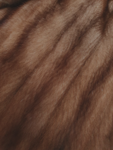 Wild Type Mink Coat -Large