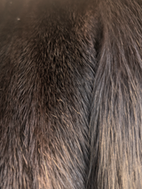 Ranch Mink Vest w/ Black Fox Trim -XL