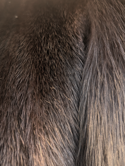 Ranch Mink Vest w/ Black Fox Trim -XL