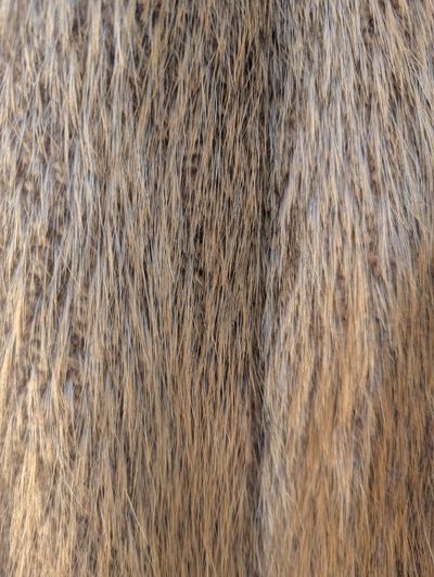 Long Hair Blonde Beaver Coat -Mens Size 42/Womens Large