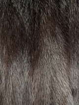 Mahogany Mink Coat -Large (Nordstroms)