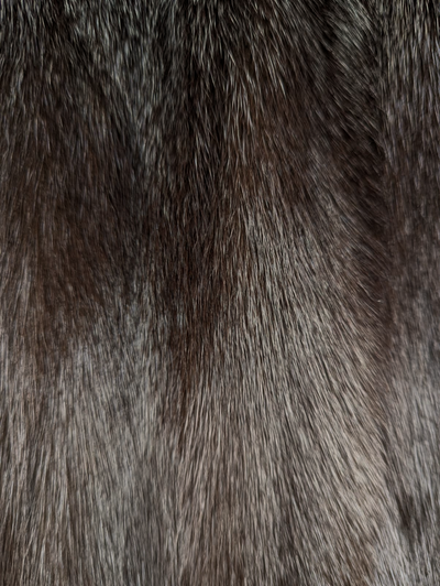 Mahogany Mink Coat -Large (Nordstroms)