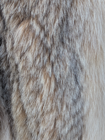 Canadian Lynx Jacket -Large