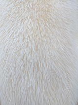 Eggshell White Mink Coat -Medium