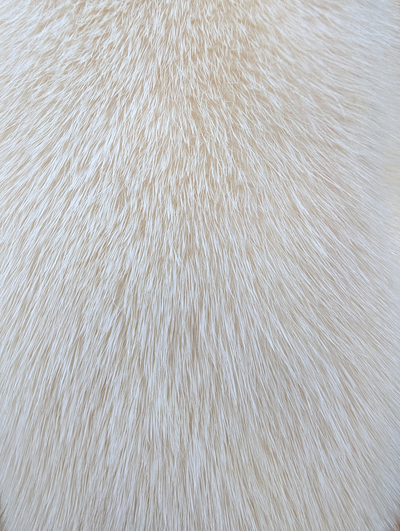 Eggshell White Mink Coat -Medium