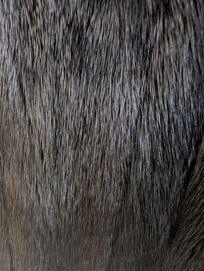 Dark Mink Sable Tails Cape -One Size