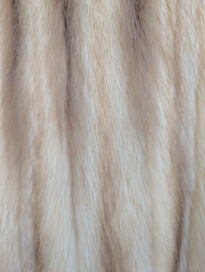 Fitch Coat -Medium