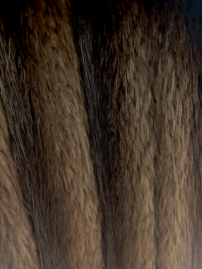 Long Hair Beaver Coat -Medium