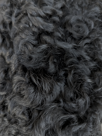 Black Russian Broadtail Lamb w/ Kalgan Lamb Collar Jacket -Small