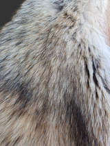 Vintage Rust Shearling & Coyote Jacket -Small