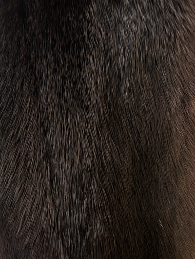 Dark Mink Coat -Large