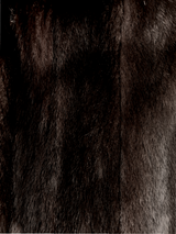 Vintage Dark Brown Mink Coat -Large