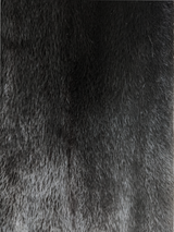 Black Dyed Mink Coat -Small