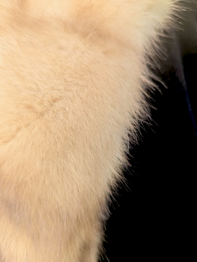 Reversible Sheared Mink & Golden Sable Coat -Medium/Large