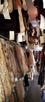 Fur Storage (1 Year) - Good Through May 2026