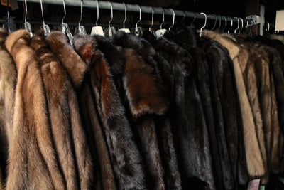 Fur Storage (1 Year) - Good Through May 2026