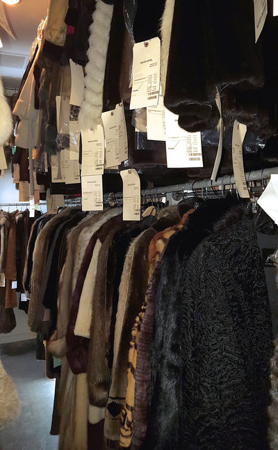 Fur Storage (1 Year) - Good Through May 2026