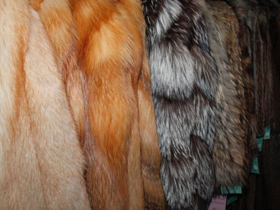 Fur Storage (1 Year) - Good Through May 2026