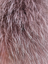 Fox Fur Collar & Slap-On Cuffs - CHOOSE YOUR COLOR!
